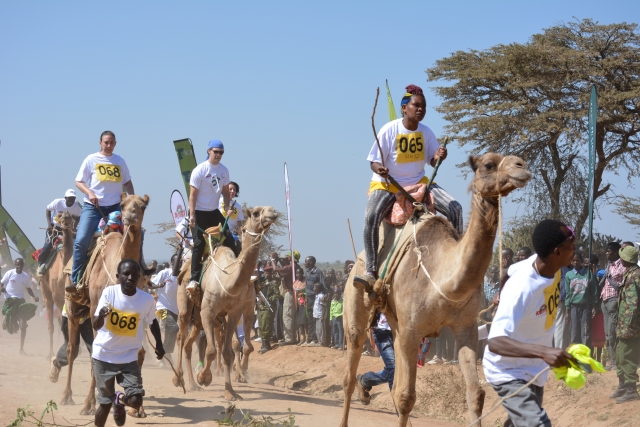 As the camel race began